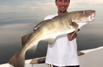 This cod, called codfish, was caught in spring offshore from Dieppe
