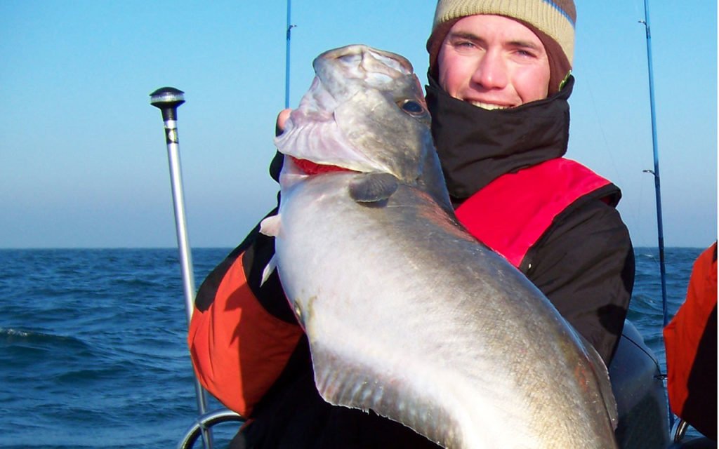 9.8 kg French record pollack in sea fishing