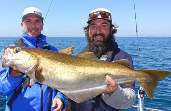 Yellow pollock is a Normandy fish caught at sea