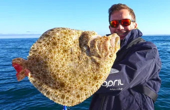 Turbot is a typical flatfish of Normandy