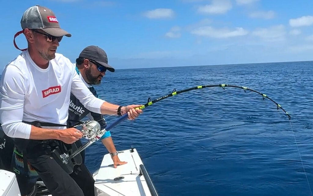 Scientific mission for tagging bluefin tuna in Spain