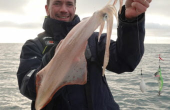 White squid off the Normandy coast