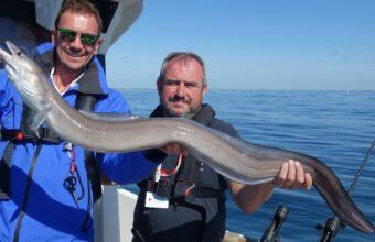 Congers are present on the wrecks of the Alabaster Coast