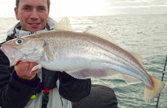 A very large whiting caught offshore from Dieppe, Normandy, France