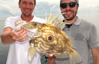 Beautiful John Dory caught in Dieppe in Normandy