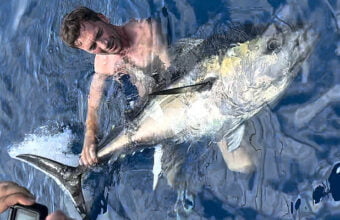 95 kg bluefin tuna released back into the water