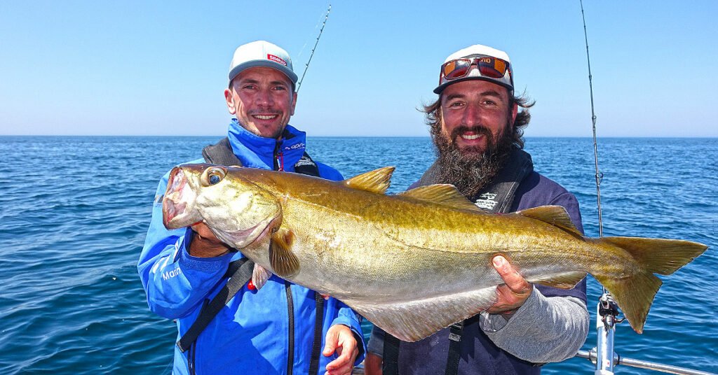 Fishing for a big pollock in Normandy, France