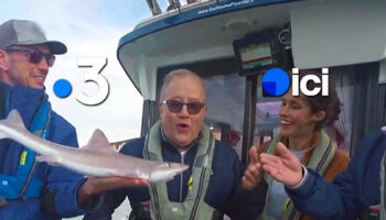 My Little Getaway on Ici - France 3