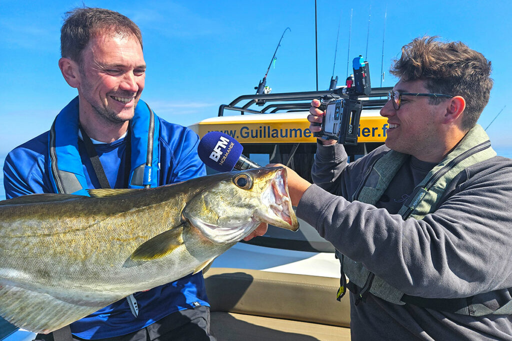 The sea bass fishing guide teaches how to catch pollack
