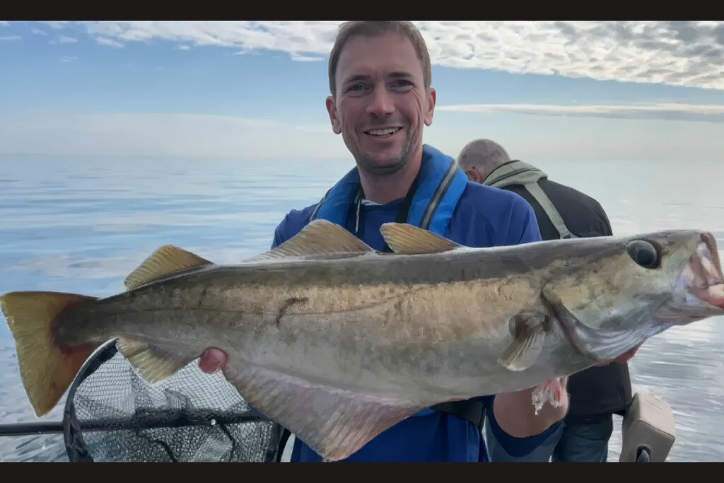 Yellow pollack specialist fishing guide.