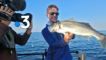 Fishing for big seabass with soft lures with guide Guillaume Fourrier on France 3 French TV