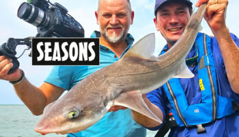 57-minute portrait documentary of Guillaume Fourrier on SEASONS (CANAL+ Group)