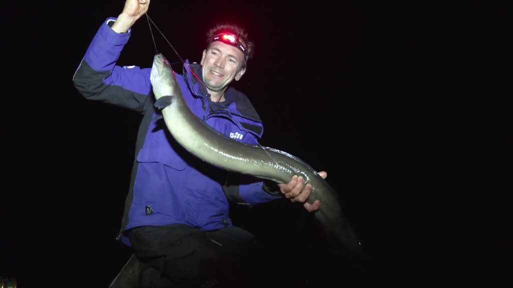 A fine conger eel caught by Guillaume among the rocky blocks of the Carnot breakwater in Boulogne-sur-Mer